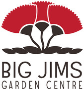 Big Jims
