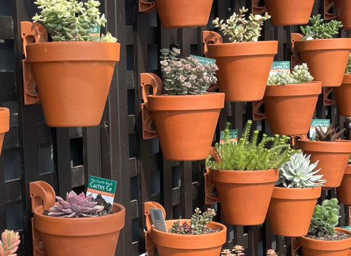 Hanging Gardens