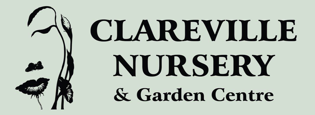 Clareville Nursery
